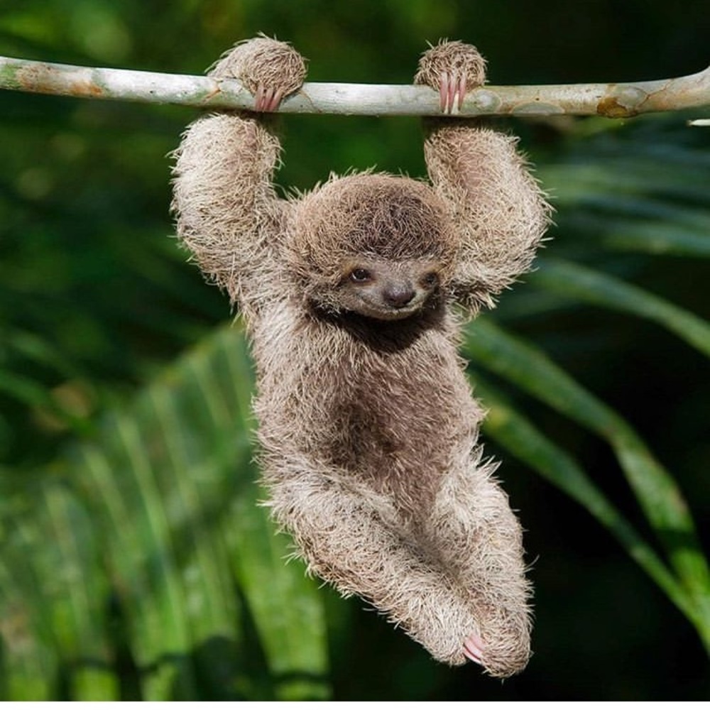 Meet your Posher, Steph